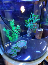 Load image into Gallery viewer, RARE AQUARIUM ITEM, CANYON VIEW EXTEND HALF CYLINDER 25 gallon.