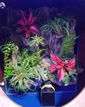 Load image into Gallery viewer, RARE AQUARIUM ITEM, CANYON VIEW EXTEND HALF CYLINDER 25 gallon.