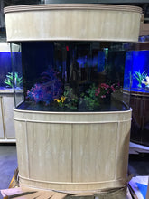 Load image into Gallery viewer, 140 Gallon Seamless Glass Bowfront Aquarium Reef-Ready with Unstained Cabinet and Canopy Real Wood