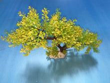 Load image into Gallery viewer, Artificial Aquarium Plant for Fish Tanks, TREE DECOR 16" aquarium plastic plant