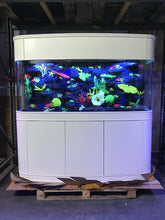 Load image into Gallery viewer, 200 Gallon Seamless Glass Bowfront Aquarium Reef-Ready in Tulum White Real Wood Furniture