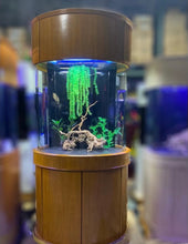 Load image into Gallery viewer, 90 Gallon Glass 3/4 Cylinder Round Aquarium With Stand and Canopy in Golden Oak