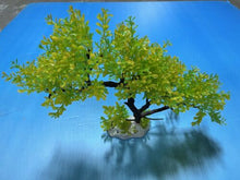 Load image into Gallery viewer, Artificial Aquarium Plant for Fish Tanks, TREE DECOR 16" aquarium plastic plant
