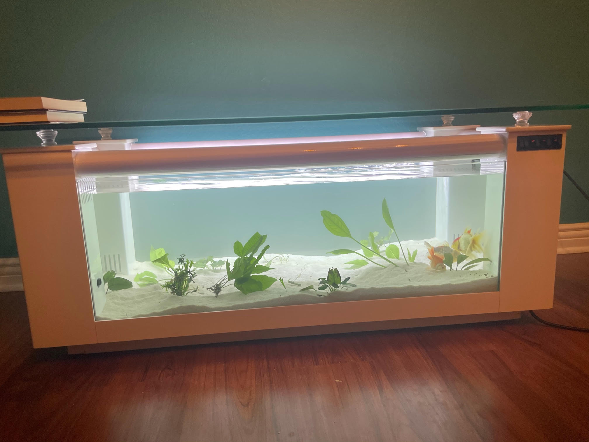 WARRANTY INCLUDED! 45 gallon GLASS rectangle table aquarium fish