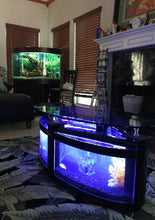 Load image into Gallery viewer, WARRANTY INCLUDED! 60 gallon GLASS oval round table aquarium fish tank setup