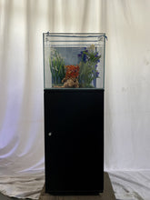 Load image into Gallery viewer, ULTRA CLEAR GLASS - 18 gallon cube fish tank aquarium full setup w/ filtration