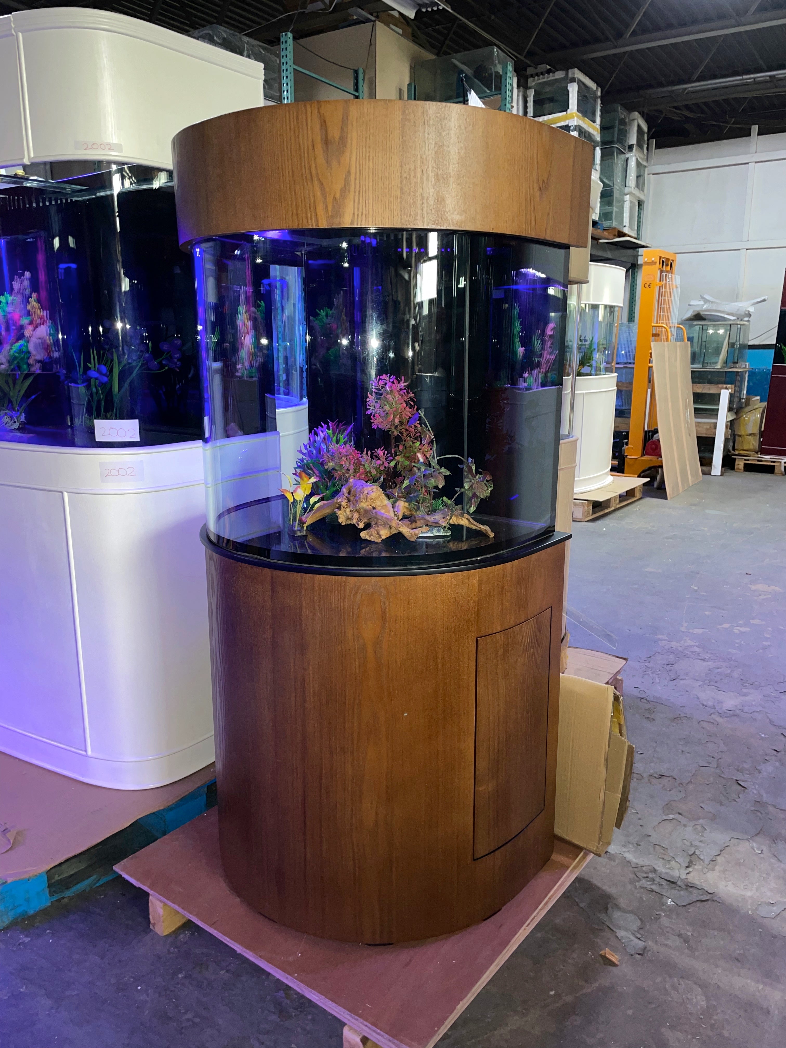 WARRANTY INCLUDED! 60 gallon GLASS oval round table aquarium fish tank  setup