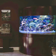 Load image into Gallery viewer, 440 Gallon Glass Corner Reef-Ready Aquarium in Rose Cherry Real Wood Furniture
