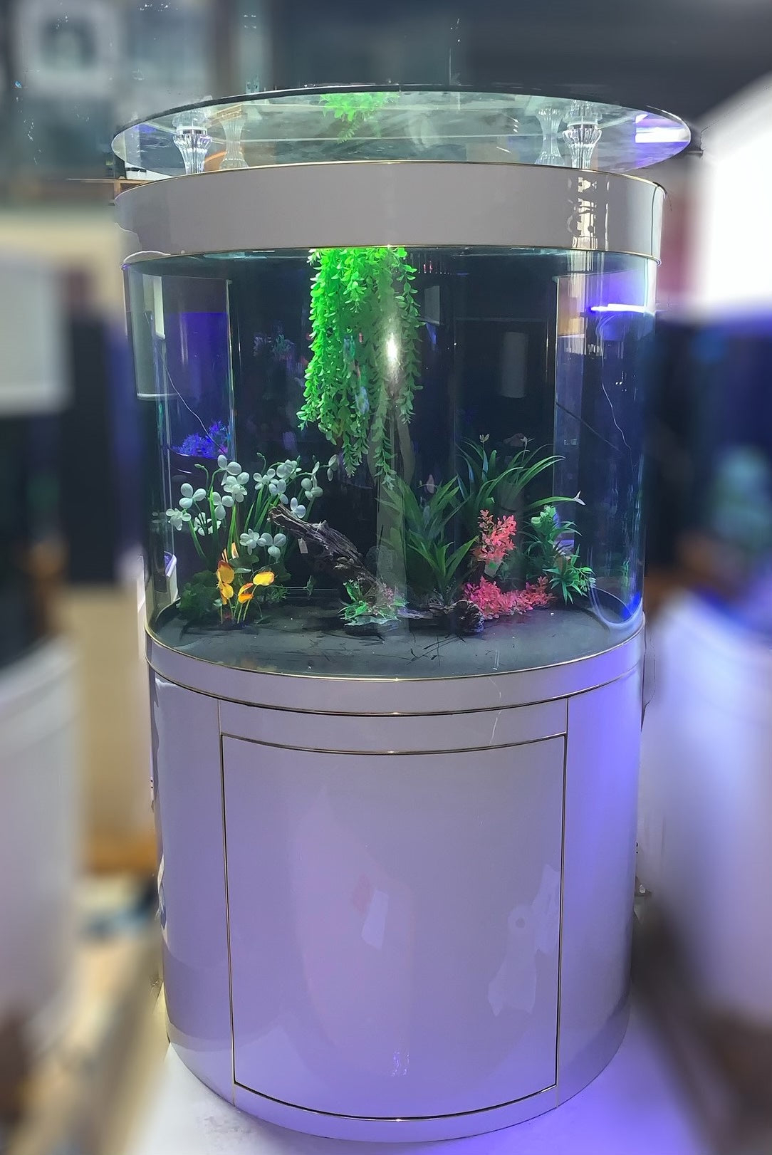 WARRANTY INCLUDED 300 gallon GLASS cylinder round aquarium metal