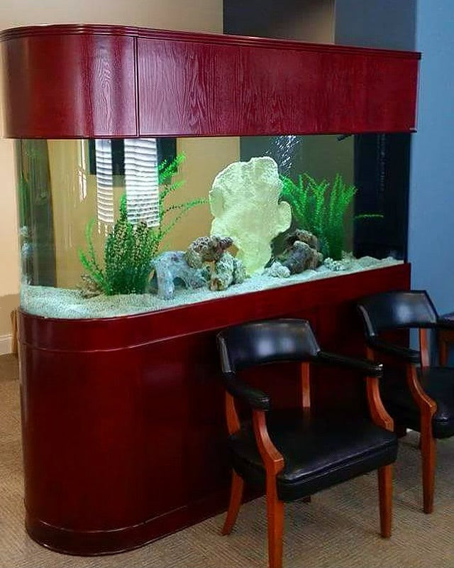 Warranty included 120 GALLON GLASS room divider peninsula aquarium fis –  Northeast Aquariums LLC