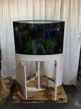 Load image into Gallery viewer, 66 gallon GLASS corner bow front aquarium fish tank set NEW!