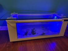 Load image into Gallery viewer, WARRANTY INCLUDED! 45 gallon GLASS rectangle table aquarium fish tank full setup