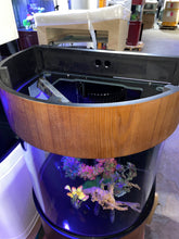 Load image into Gallery viewer, 60g Half Round Glass Reef-Ready Aquarium Fish Tank with Stand and Canopy