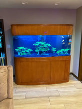Load image into Gallery viewer, MONSTER TANK! 380 Gallon Seamless Glass Bowfront Reef-Ready Aquarium in Premium Cherry Real Wood Furniture