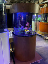 Load image into Gallery viewer, 60g Half Round Glass Reef-Ready Aquarium Fish Tank with Stand and Canopy