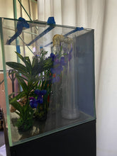 Load image into Gallery viewer, ULTRA CLEAR GLASS - 18 gallon cube fish tank aquarium full setup w/ filtration