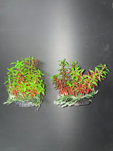Load image into Gallery viewer, PREMIUM Small Artificial Aquarium Plants - Set of 2 - Aquatics Safe
