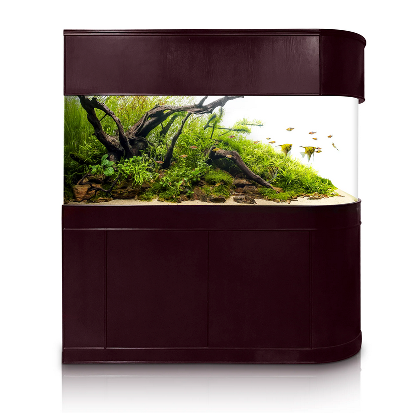 Warranty included 120 GALLON GLASS room divider peninsula aquarium fish