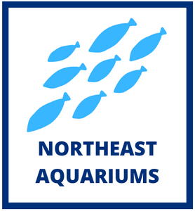 Northeast Aquariums LLC