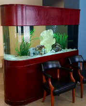 Load image into Gallery viewer, Warranty included 120 GALLON GLASS room divider peninsula aquarium fish tank set
