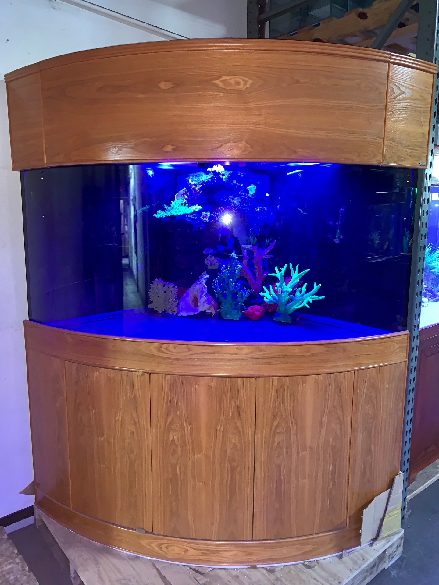 WARRANTY INCLUDED! 200 gallon GLASS corner bow aquarium fish tank wood stand