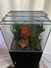 Load image into Gallery viewer, ULTRA CLEAR GLASS - 18 gallon cube fish tank aquarium full setup w/ filtration
