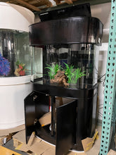 Load image into Gallery viewer, WARRANTY INCLUDED 70 gallon GLASS bow front aquarium fish tank set display model
