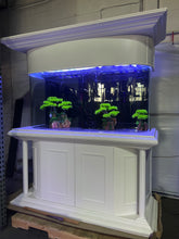 Load image into Gallery viewer, RARE AQUARIUM! Warranty included- 170 gallon GLASS bow front aquarium fish tank set
