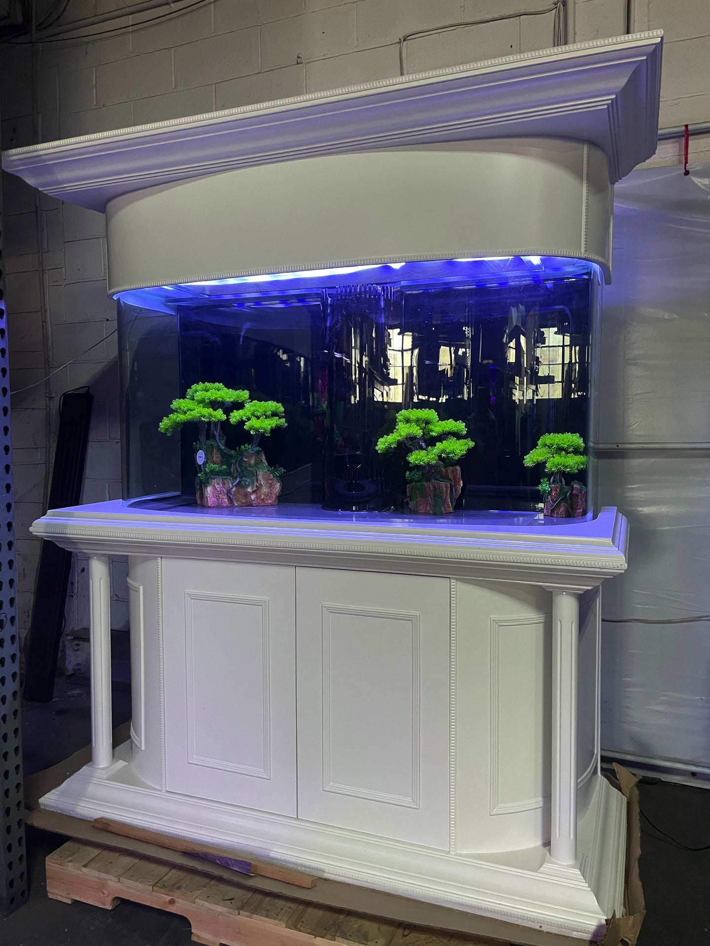 RARE AQUARIUM! Warranty included 170 gallon GLASS bow front aquarium fish tank