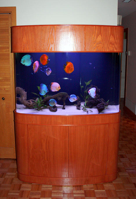 WARRANTY INCLUDED 70 gallon GLASS bow front aquarium fish tank set display model