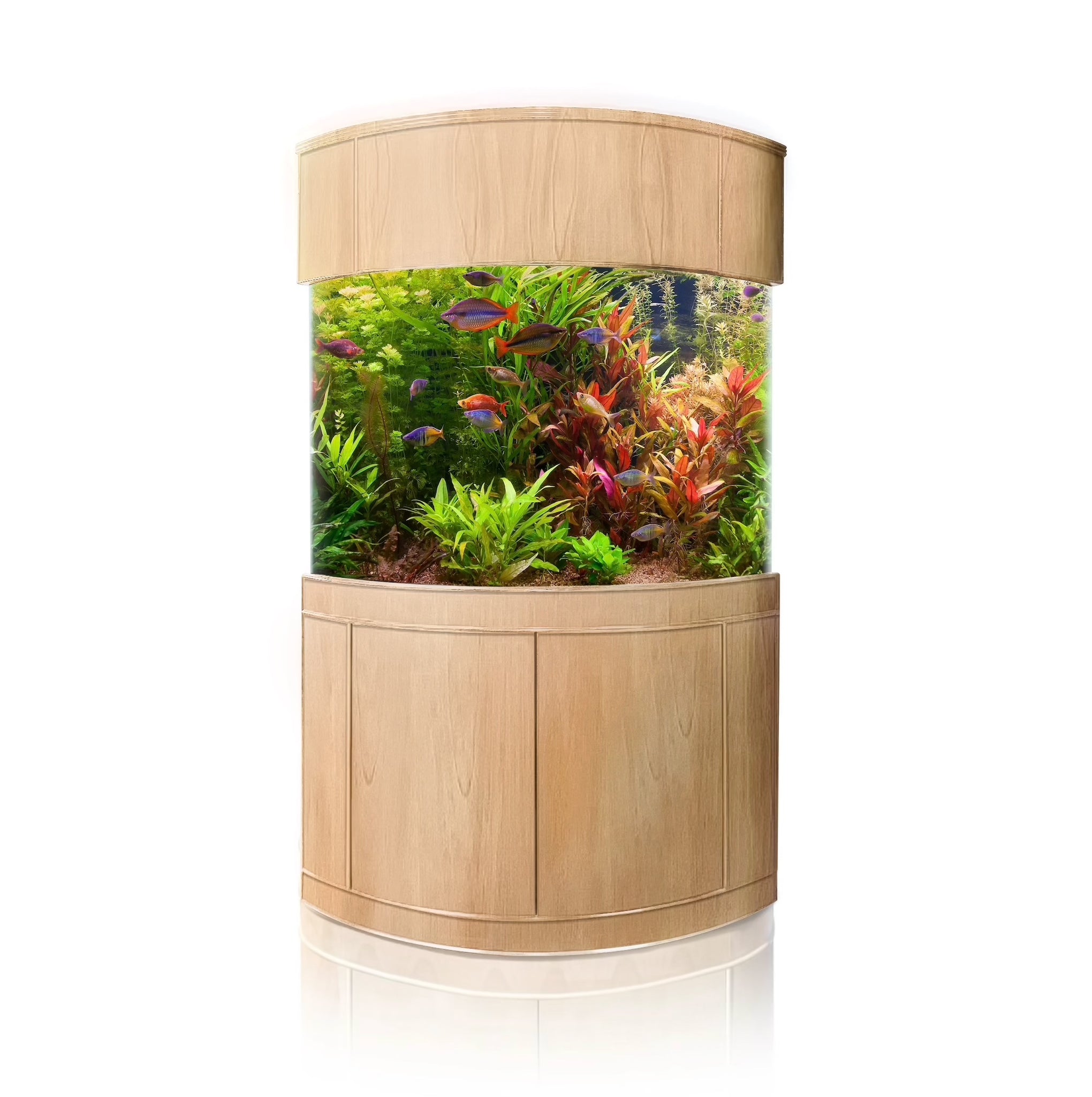 WARRANTY INCLUDED! 100 gallon GLASS corner bow aquarium fish tank wood stand
