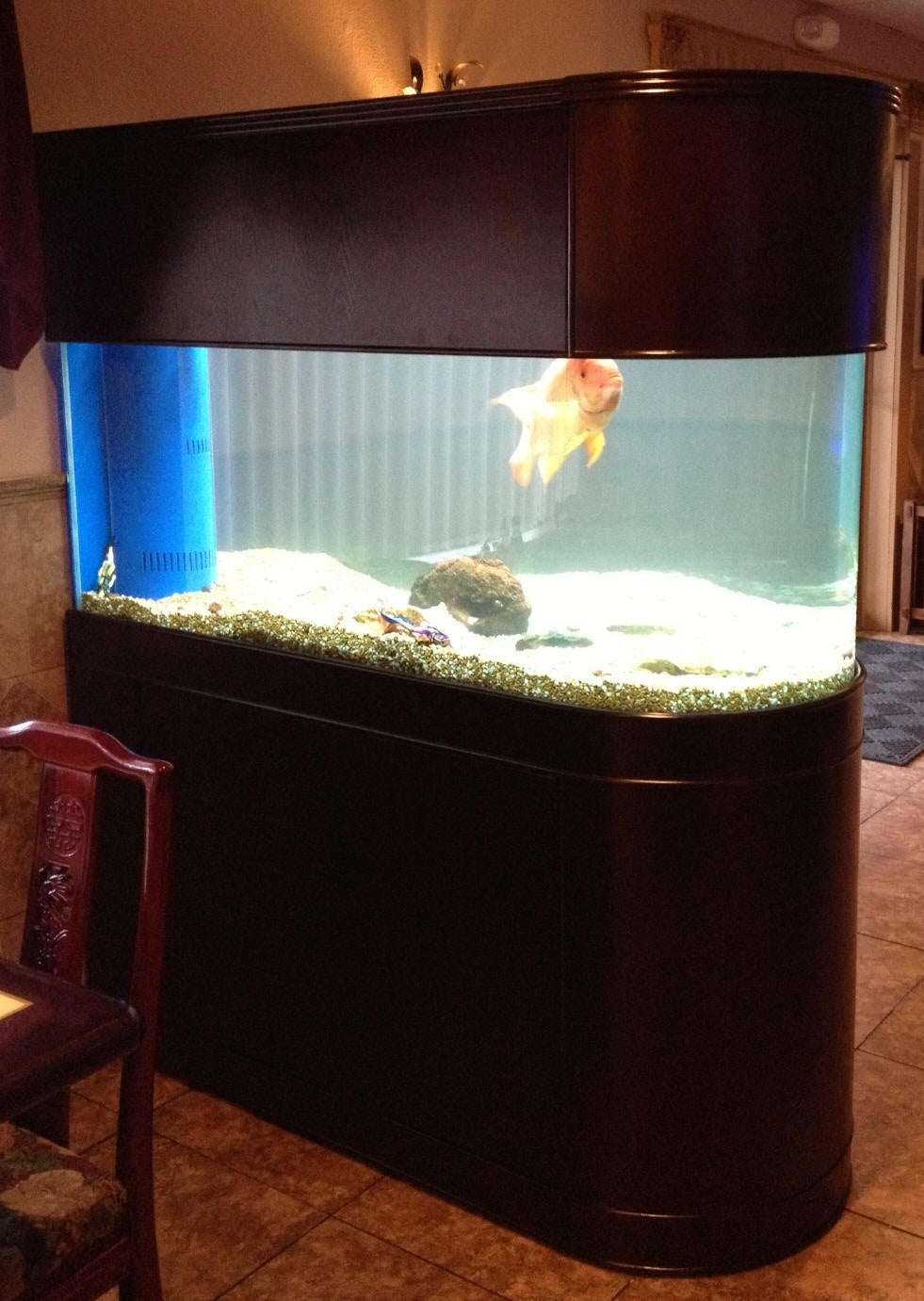 Warranty included 120 GALLON GLASS room divider peninsula aquarium fish tank set