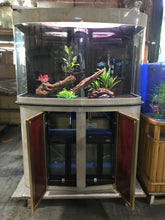 Load image into Gallery viewer, WARRANTY INCLUDED! 130 gallon GLASS bow front aquarium fish tank set SUMP + PUMP
