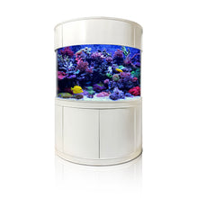 Load image into Gallery viewer, WARRANTY INCLUDED! 180 gallon GLASS half moon aquarium cylinder fish tank cherry
