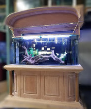 Load image into Gallery viewer, Warranty included JAWDROPPING 170 gallon GLASS bow front aquarium tank
