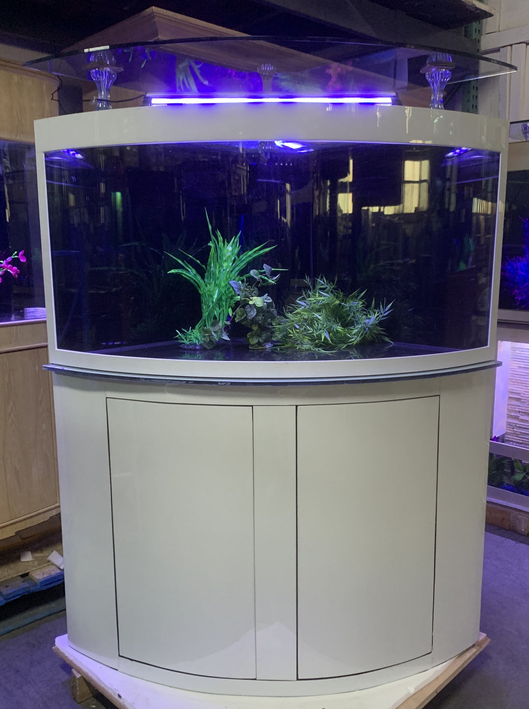 glass corner tank white display