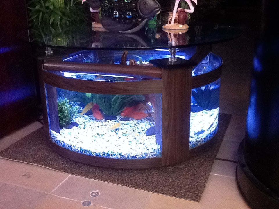WARRANTY INCLUDED! 55 gallon GLASS round circle table aquarium fish tank  setup WALNUT