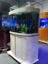 Load image into Gallery viewer, WARRANTY INCLUDED! 130 gallon GLASS bow front aquarium fish tank set SUMP + PUMP
