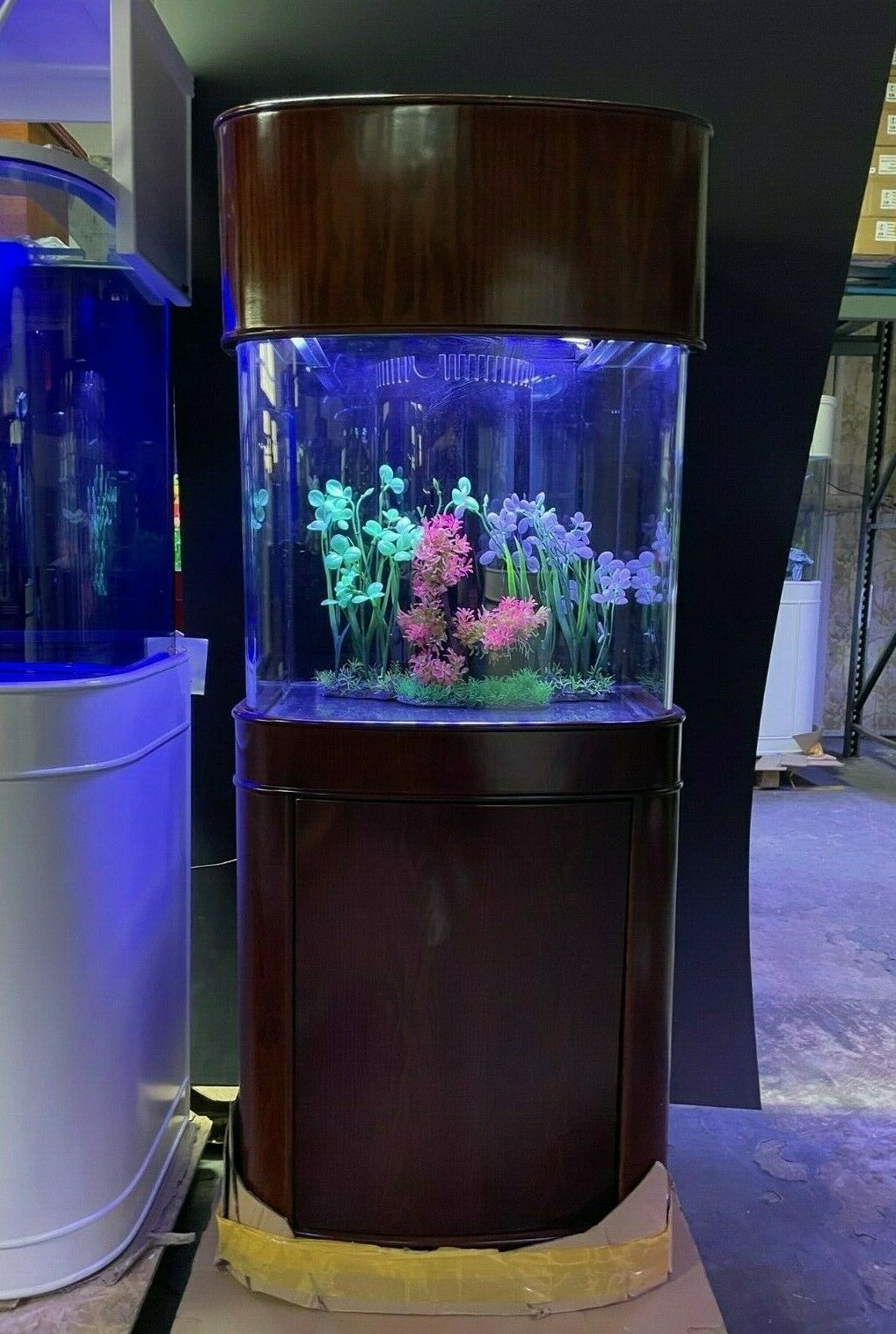 WARRANTY INCLUDED! Glass 50 gallon fish tank aquarium setup bow front cube