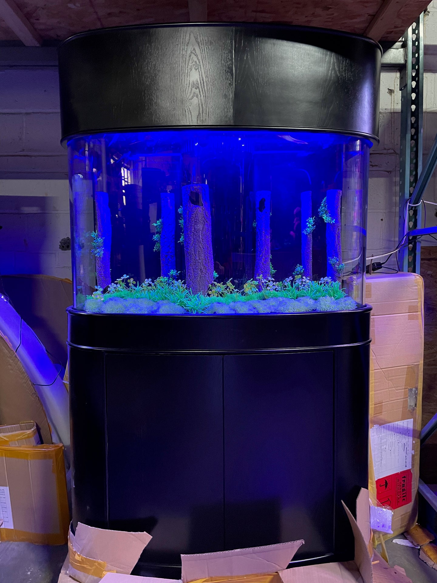 WARRANTY INCLUDED 80 gallon GLASS bow front aquarium fish tank set display model
