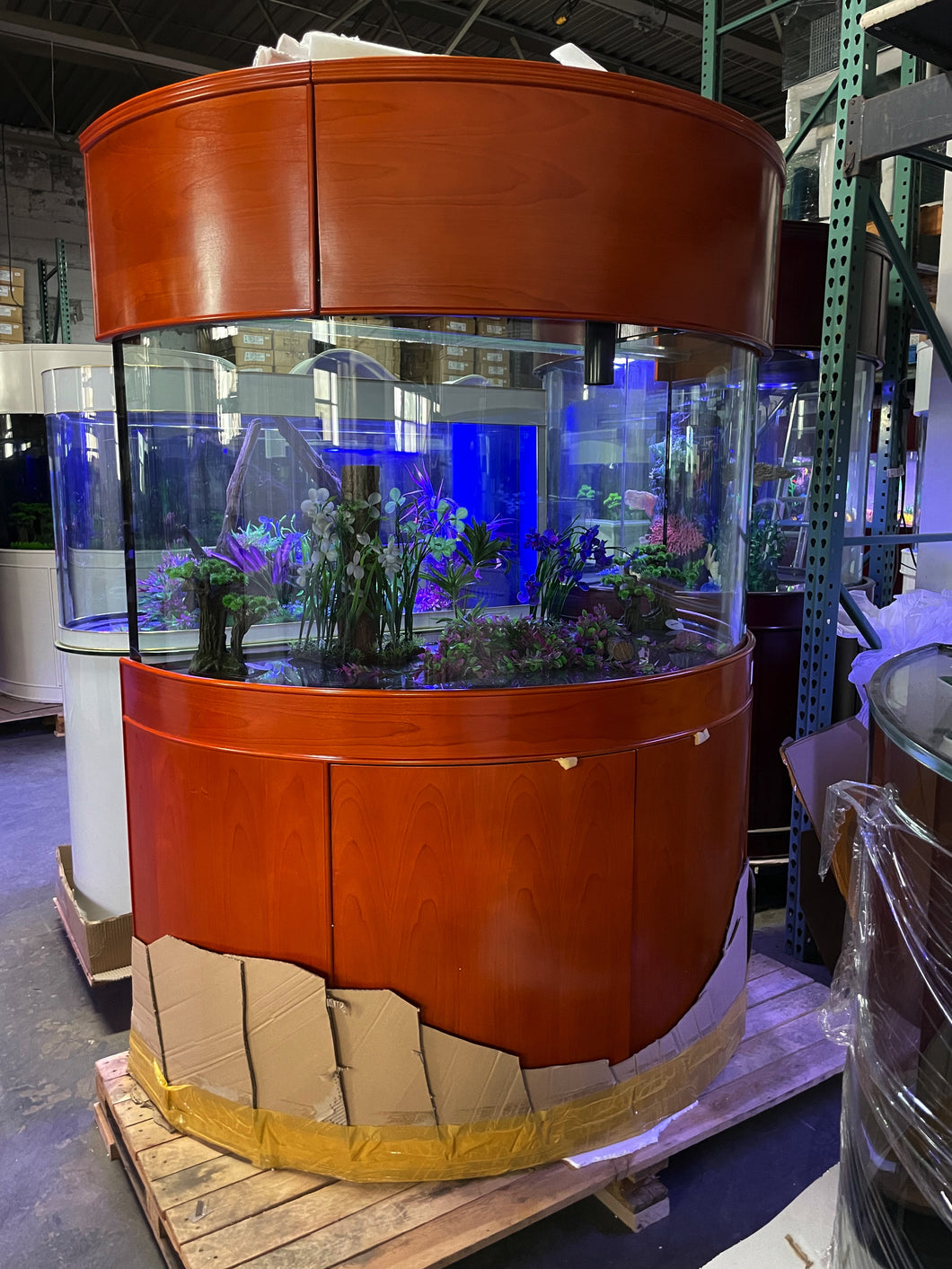 WARRANTY INCLUDED! 180 gallon GLASS half moon half cylinder aquarium fish tank set NEW!