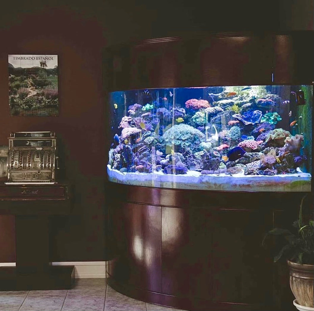 400 GAL MONSTER AQUARIUM FOR SALE! GLASS corner bow front aquarium fish tank set