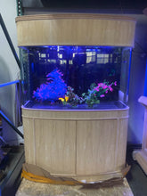 Load image into Gallery viewer, WARRANTY INCLUDED 70 gallon GLASS bow front aquarium fish tank UNSTAINED WOOD
