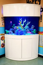 Load image into Gallery viewer, WARRANTY INCLUDED! 250 gallon GLASS corner bow aquarium fish tank wood stand
