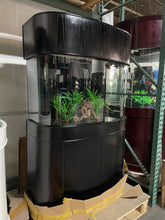 Load image into Gallery viewer, WARRANTY INCLUDED 70 gallon GLASS bow front aquarium fish tank set display model
