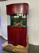 Load image into Gallery viewer, WARRANTY INCLUDED 70 gallon GLASS bow front aquarium fish tank set display model
