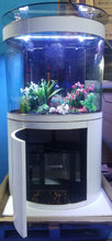 Load image into Gallery viewer, WALNUT COLOR 160 gallon GLASS cylinder wall aquarium w/ metal stand
