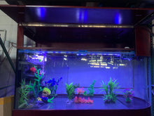 Load image into Gallery viewer, Warranty included 300 GALLON GLASS room divider peninsula aquarium fish tank set
