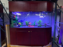 Load image into Gallery viewer, Warranty included 300 GALLON GLASS room divider peninsula aquarium fish tank set
