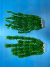 Load image into Gallery viewer, Artificial Aquarium Plant for Fish Tanks, LARGE aquarium plastic plant, 21&quot; TALL
